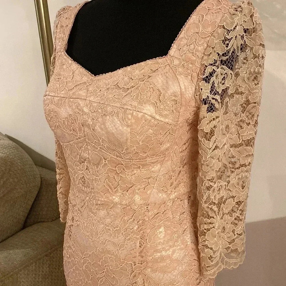 𝅺ARROGANT cat lace dress size S NWT - Picture 4 of 8